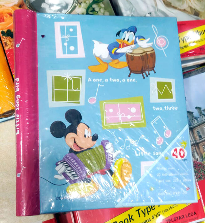 album-de-fotos-adhesivo