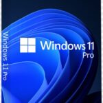 Windows 11 pro