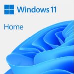 window 11 home