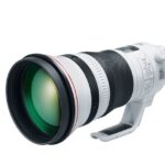 Canon EF 400mm f/2.8L IS III USM Lens